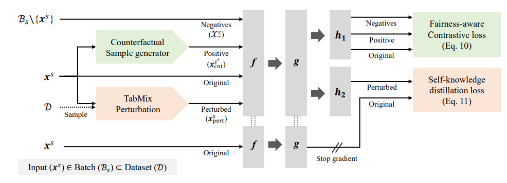 图1：DualFair 的整体框架。f,g,(h_1,h_2) 分别代表网络主体，隐射模块和两个预测模块。DualFair 通过联合优化公平的对比损失和自知识蒸馏损失，致力于保证表示学习的公平性和质量。