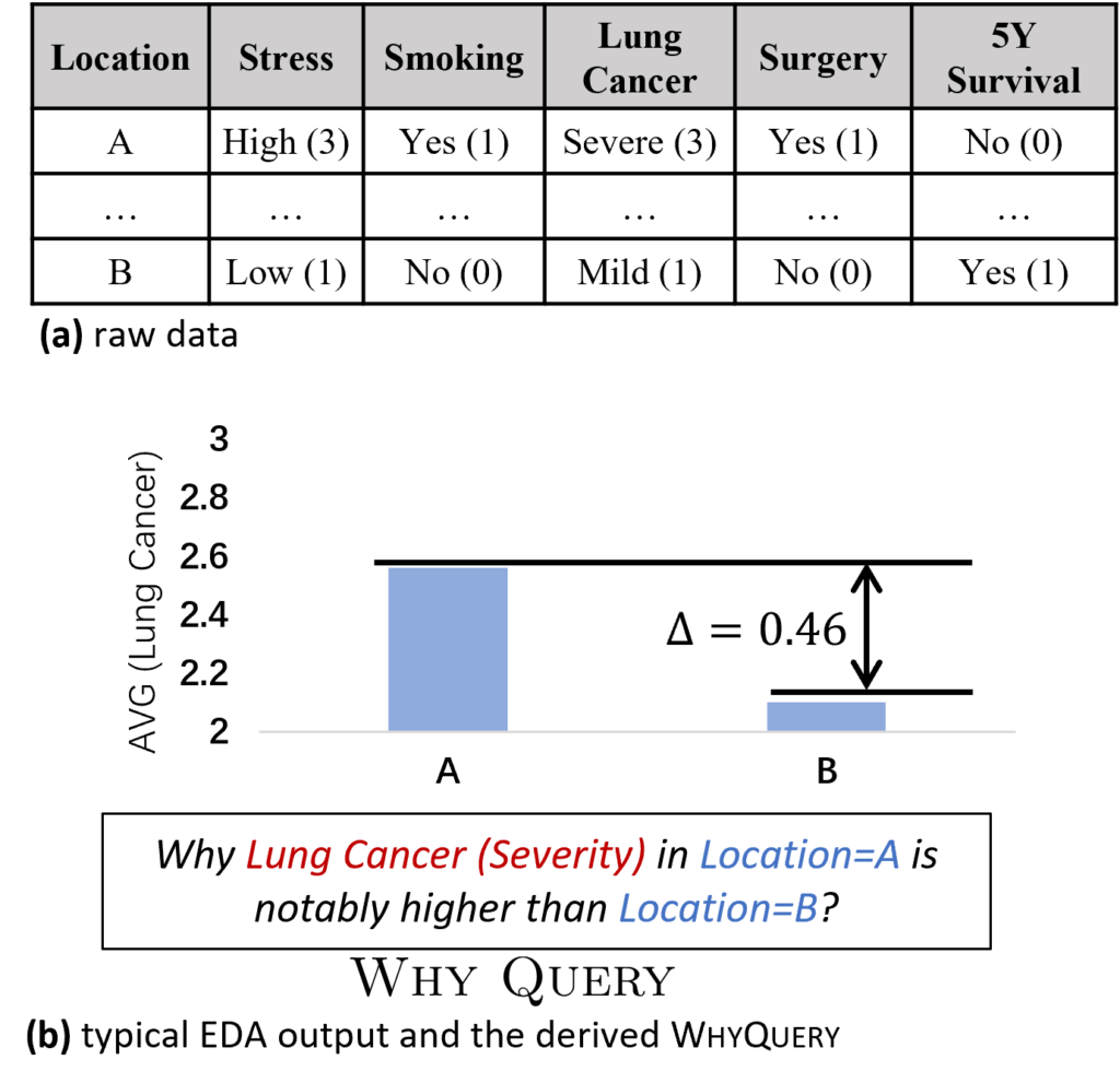 图5：肺癌数据集、不同地区的肺癌差异以及对应产生的 Why Query