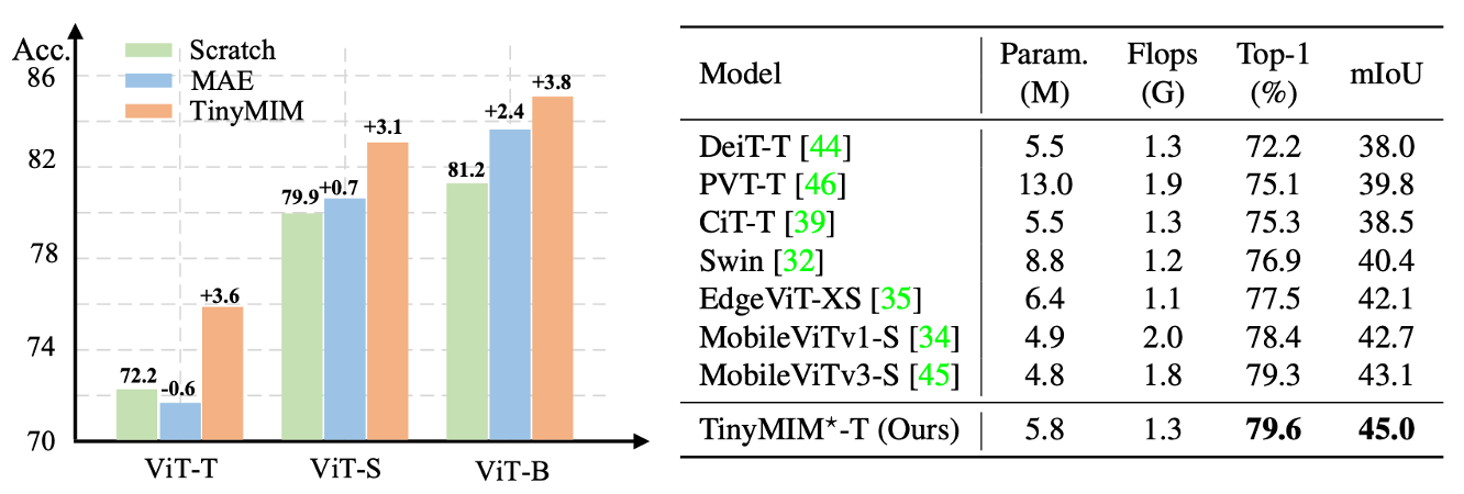 图9：TinyMIM 相较于 MAE 与其他小模型设计方法均取得了显著的性能优势