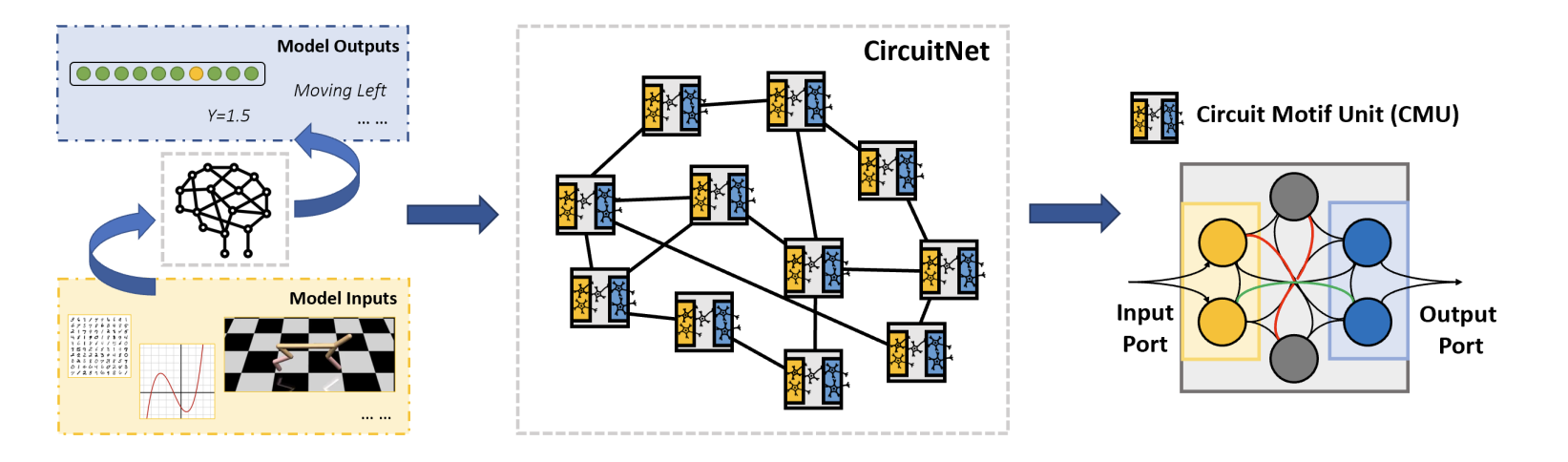图2：CircuitNet 的模型结构。作为一个通用的神经网络，CircuitNet 可以根据输入的形式用在各种各样的下游任务中（左）。CircuitNet 由一些 CMU 通过相互间的稀疏连接构成 （中）。在单个 CMU 中，神经元间以复杂的形式稠密连接在一起从而建模通用的回路模式，例如，绿色的线连接了两个神经元，可以用来表示线性变换，而红线可以表示更高级的涉及三个神经元的变换，如神经元间的注意力机制（右）