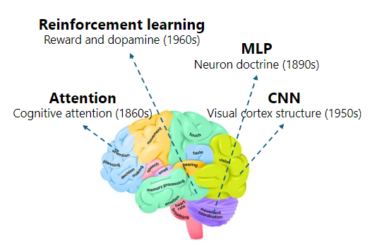 图3：脑启发的人工智能